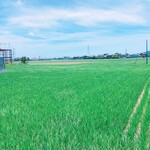 大和 - 前回訪問時の写真やけど、こんな田園風景の中にお店はあります♪