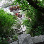 和田乃屋 - 聖観音堂より、緑を透かして見る和田乃屋。いやー実に素晴らしかった。店員さんも美しかったし…