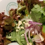 麺屋 六感堂 - 女川ほやとパイナップルのエスニック冷やし中華＋ほや刺し増し