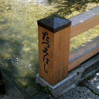 時菜今日萬祇園 - 