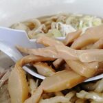 自家製太麺 渡辺 - メンマ