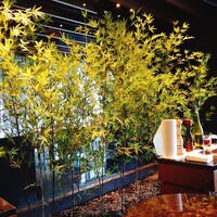 XEX TOKYO / Salvatore Cuomo Bros. - 
