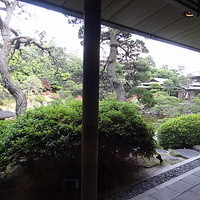 All Day Dining shizuku - 