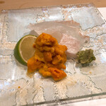 うを徳 - 星鰈と焼尻島雲丹のお造り、へべす