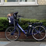 蒙古タンメン中本 - うめともも