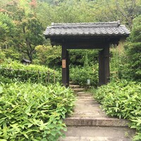 洋食 つばき - 