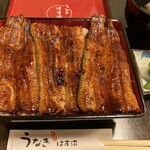 Unagi Hasunuma - 