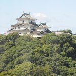 Daiwaroinetto Hoteru - 和歌山城が目の前です