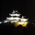 Daiwaroinetto Hoteru - 和歌山城のライトアップ