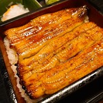 Unagi n - 