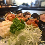 金鯱山 - 