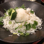 Sake To Meshi Sakaba Dan - 