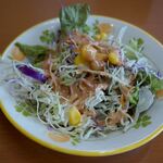 メヘマーン サラエ - 