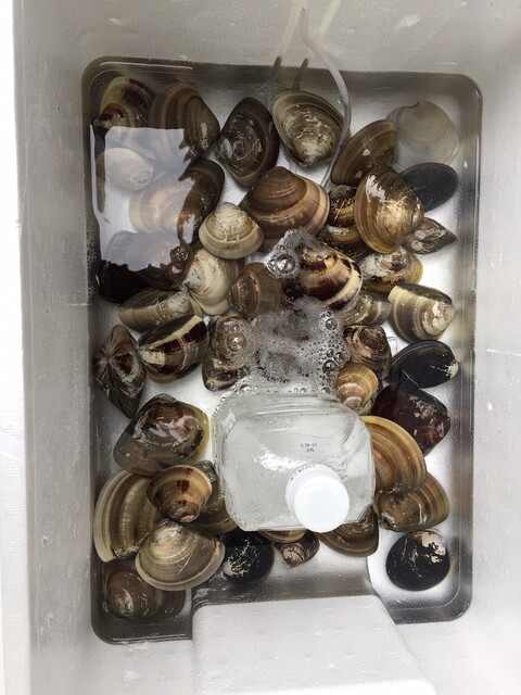 Tsukasa Suzume photo 5