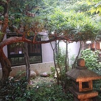 肉会席 ゆかわ - 部屋から見える庭