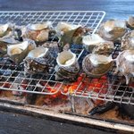 八起鮨 - さぷら伊豆！渋谷の平日・伊豆の休日