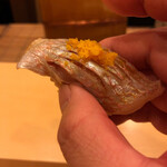 鮨駒 - やはり鯛とオボロは相性抜群