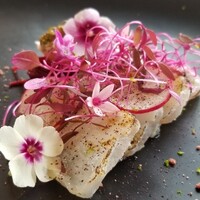 MAISON LAFITE - ⑨炙り九絵(クエ)(福岡県玄界灘産)の柚子マリネ、夏トリュフ挟み、茗荷、ビーツ、お花のピクルス、ラディッシュ載せ、自家製梅干し&自家製紫蘇のパウダー掛け
                    此処まで色鮮やかで美しい九絵のお料理は初めて