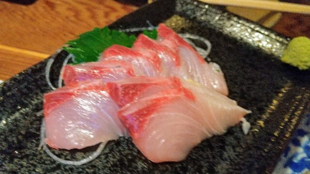 達磨 柏 居酒屋 食べログ 達磨 柏 居酒屋 食べログ