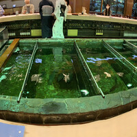 博多料亭 稚加榮 - 