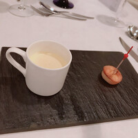 THE KOBECRUISE コンチェルト - 