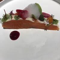 MOTORA  - 