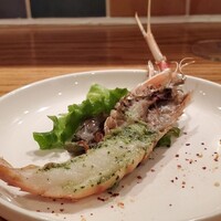 Le Comptoir de シャンパン食堂 -  Le Comptoir de シャンパン食堂 -