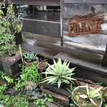 フランク ライドアンドイート - 