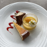 スミレオオサカ - 