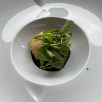 スミレオオサカ - 