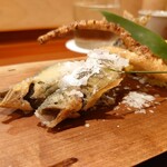 津の守坂 小柴 - 