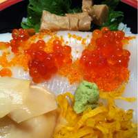 鮨丸 - イカ丼