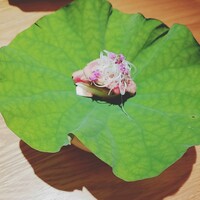 肉和食 月火水木金土日 - 