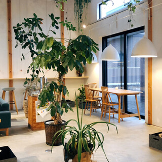 スコル カフェ_2