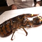 GINZA JOTAKI - ⚫大きなカナダ産活きオマール