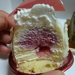 GRUN - ルント断面