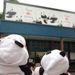 上野動物園 バードソング - 東京旅行2日目も、朝から上野動物園に来たボキら。正門右側にこんな看板が出てたよ。ちびつぬ「シャンちゃんの看板なの～♪」