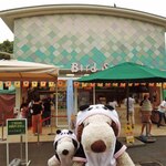 上野動物園 バードソング - 朝からシャンシャン一家を2回観覧した後、ボキらは上野動物園内にある売店でおやつをいただくことに。 