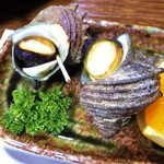 民宿 なかじま - サザエ