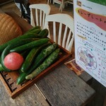 森のレストラン ラッキーガーデン - 