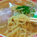 和歌山っ子 - 麺は、やや縮れ中細ストレート麺、黄色い麺です。啜りやすい麺です。美味しい麺です。こりゃ、スープに合うな!　