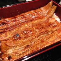 うなぎ 目白ぞろ芽 - 