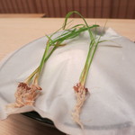 緒方 - 早苗が２つ、、、、ナヌッ！