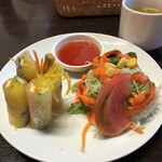カトマンズキッチン - 料理写真:アジアンセットサラダと生春巻き