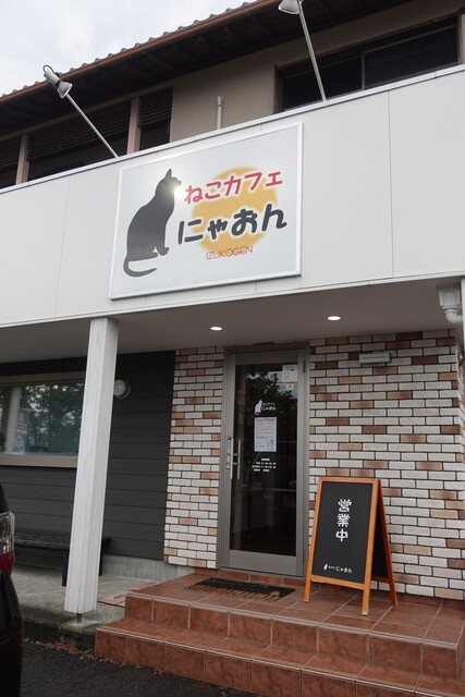 ねこカフェ にゃおん 伊豆高原 その他 食べログ ねこカフェ にゃおん 伊豆高原 その他 食べログ