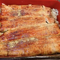 鰻割烹 伊豆栄 梅川亭 - うな重 松 3300円