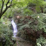 薬膳茶ソイビーンフラワー atきらら - 滝