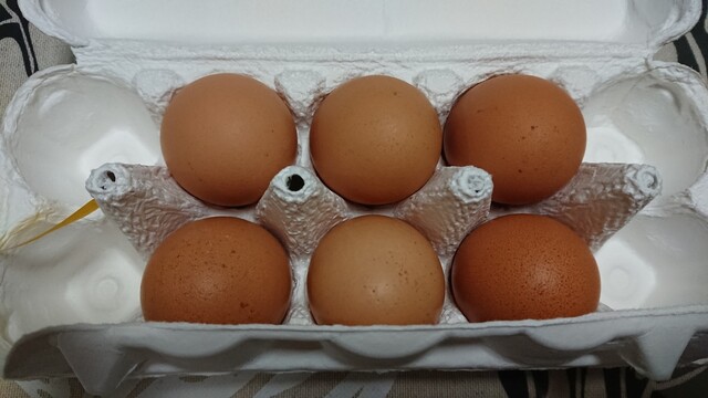 ウミネコマーケット - 知床斜里（カフェ）の写真