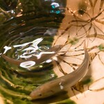 テンプラ・葡萄酒 喜久屋 - 