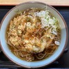 谷川岳パーキングエリア(下り線) フードコート - かき揚げ蕎麦